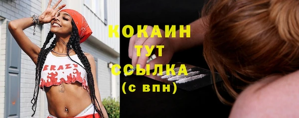 гашик Кукмор